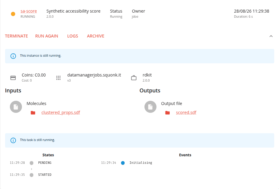 The running instance under Results