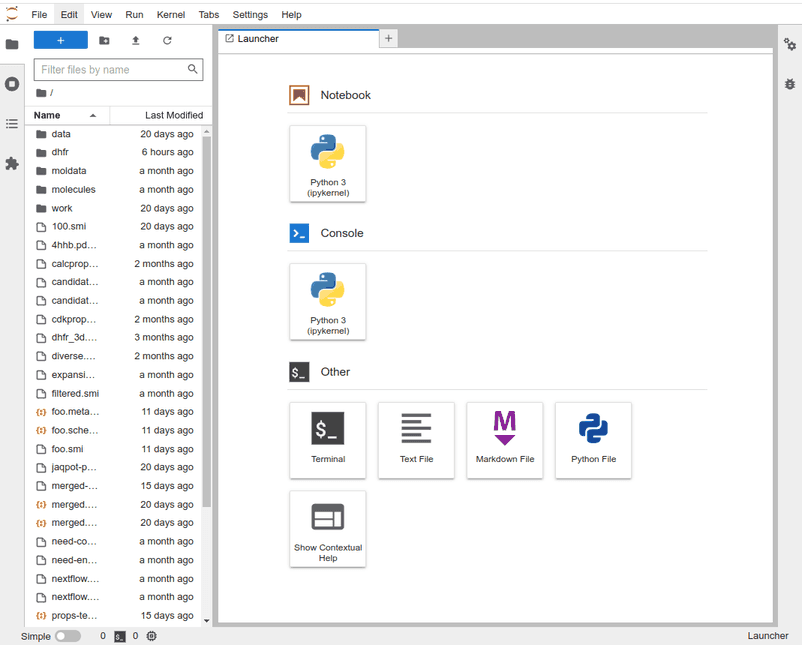 Jupyter Lab interface