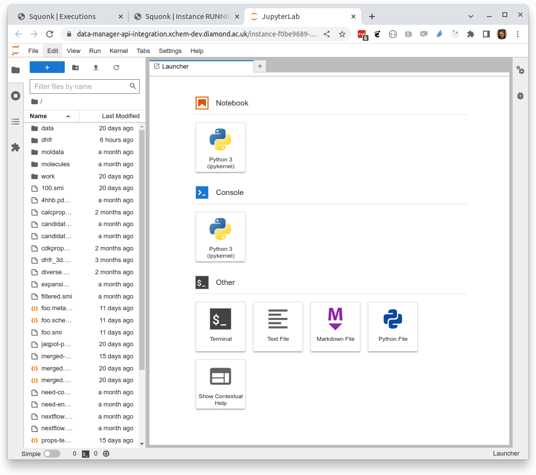 Jupyter lab interface